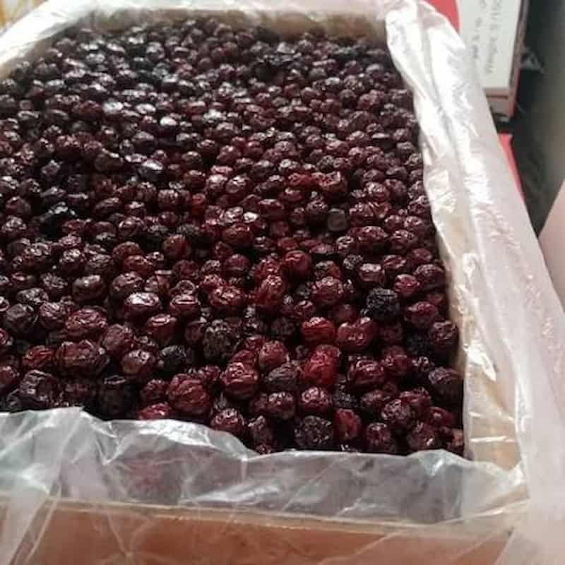 قیسی آلوچه فرآوری شده مناسب مصرف و عرضه خشکبار
